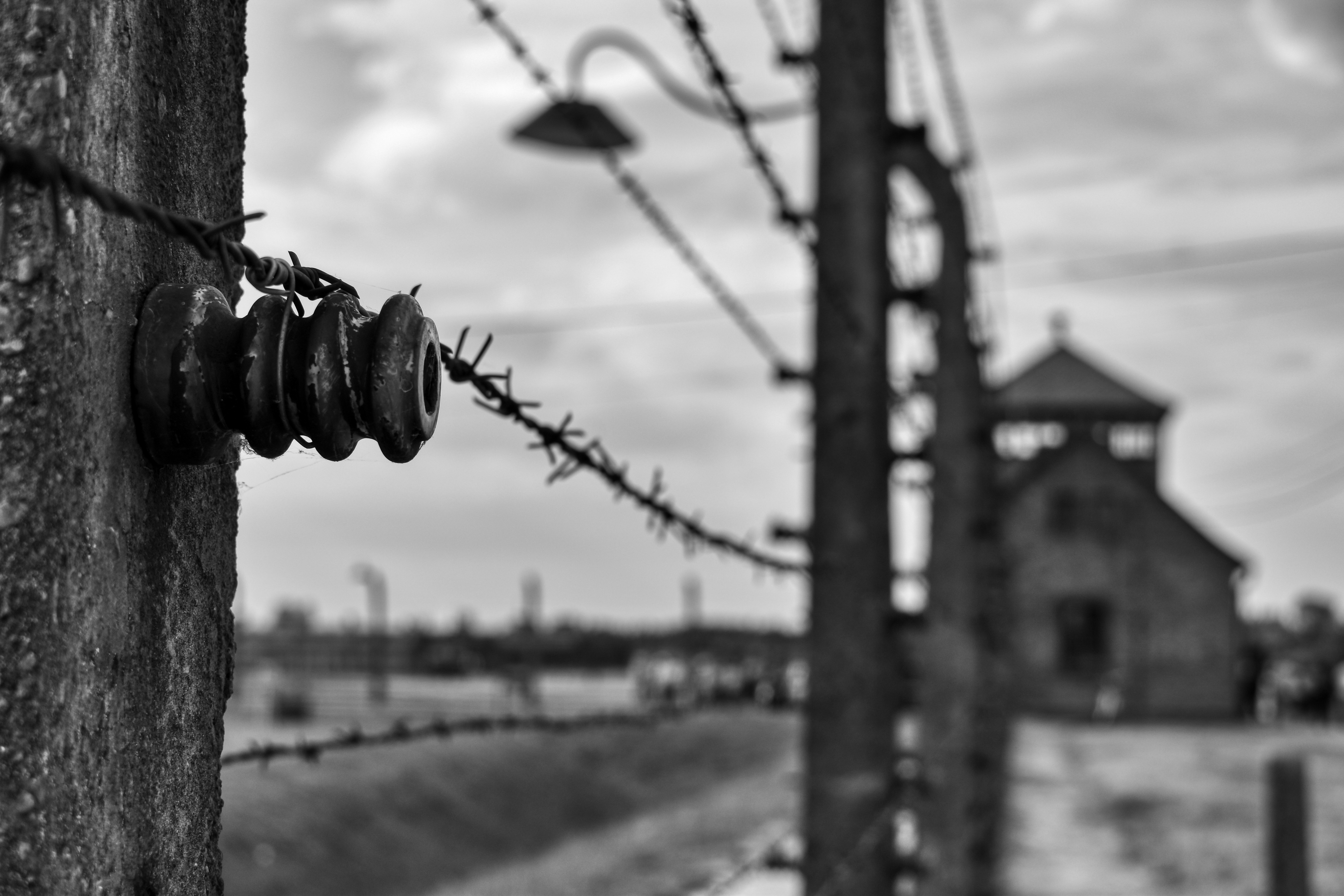 Auschwitz  wire fence